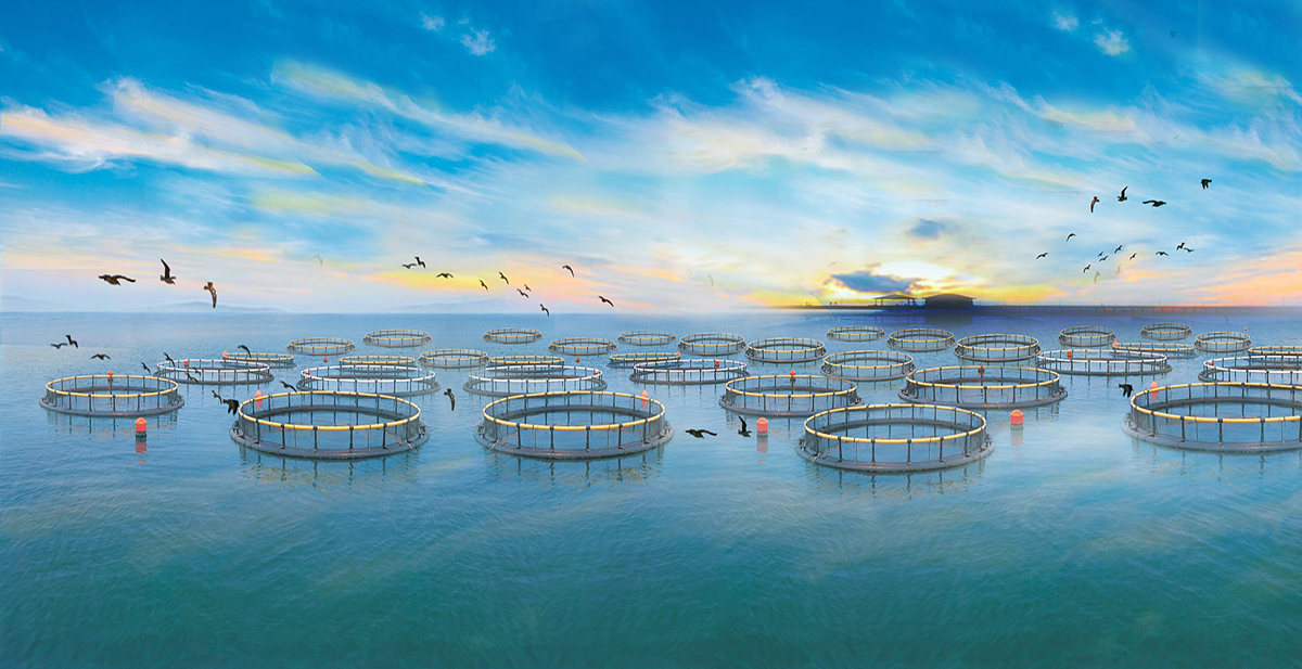 关于我们 > 企业简介